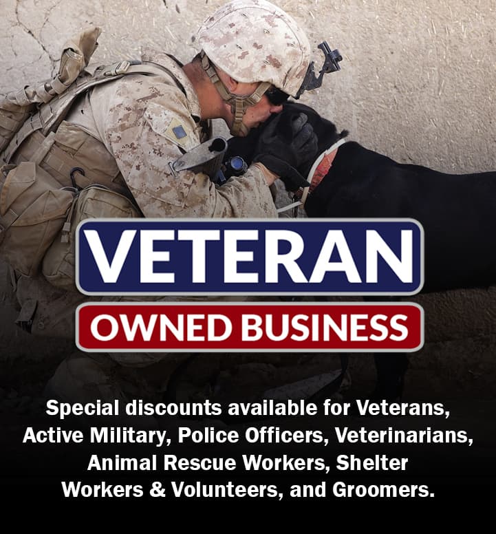 Veteran Owned Dog Training Business