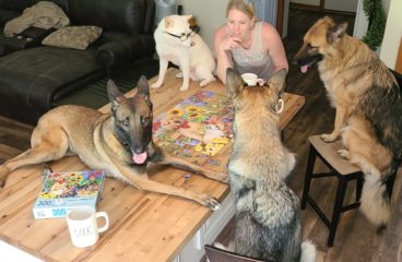 Tips for Managing Your Pet During Quarantine
