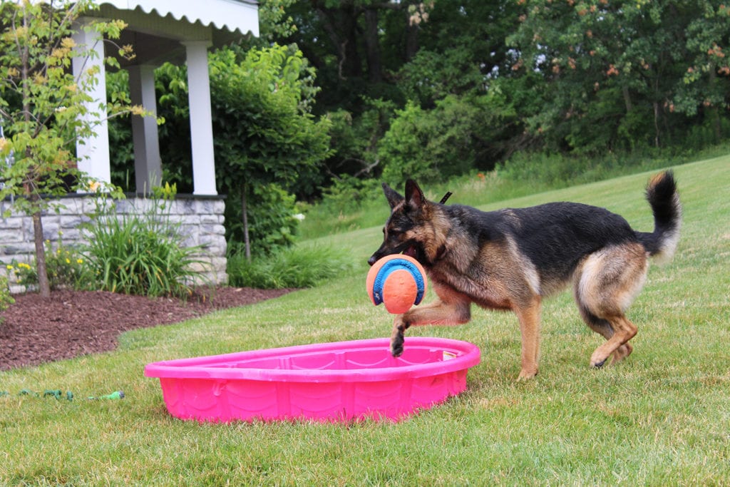 Carly playing with a ball