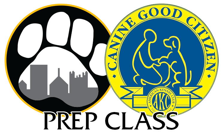 CGC Prep Class by Paw & Order Dog Training