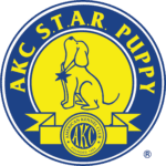AKC Star Puppy