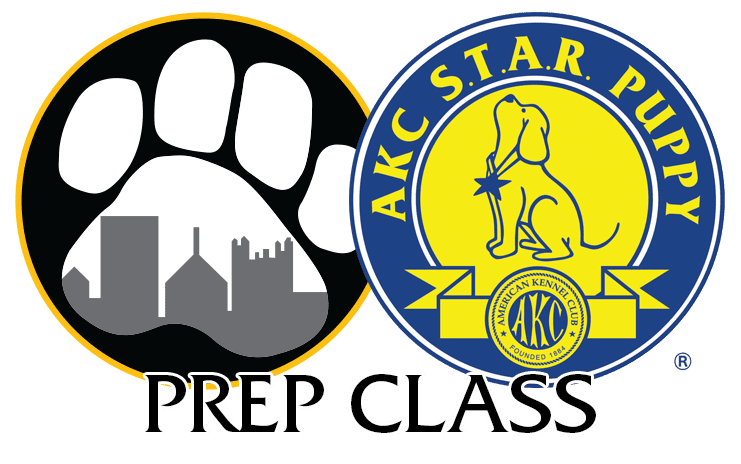 Star Puppy Prep class