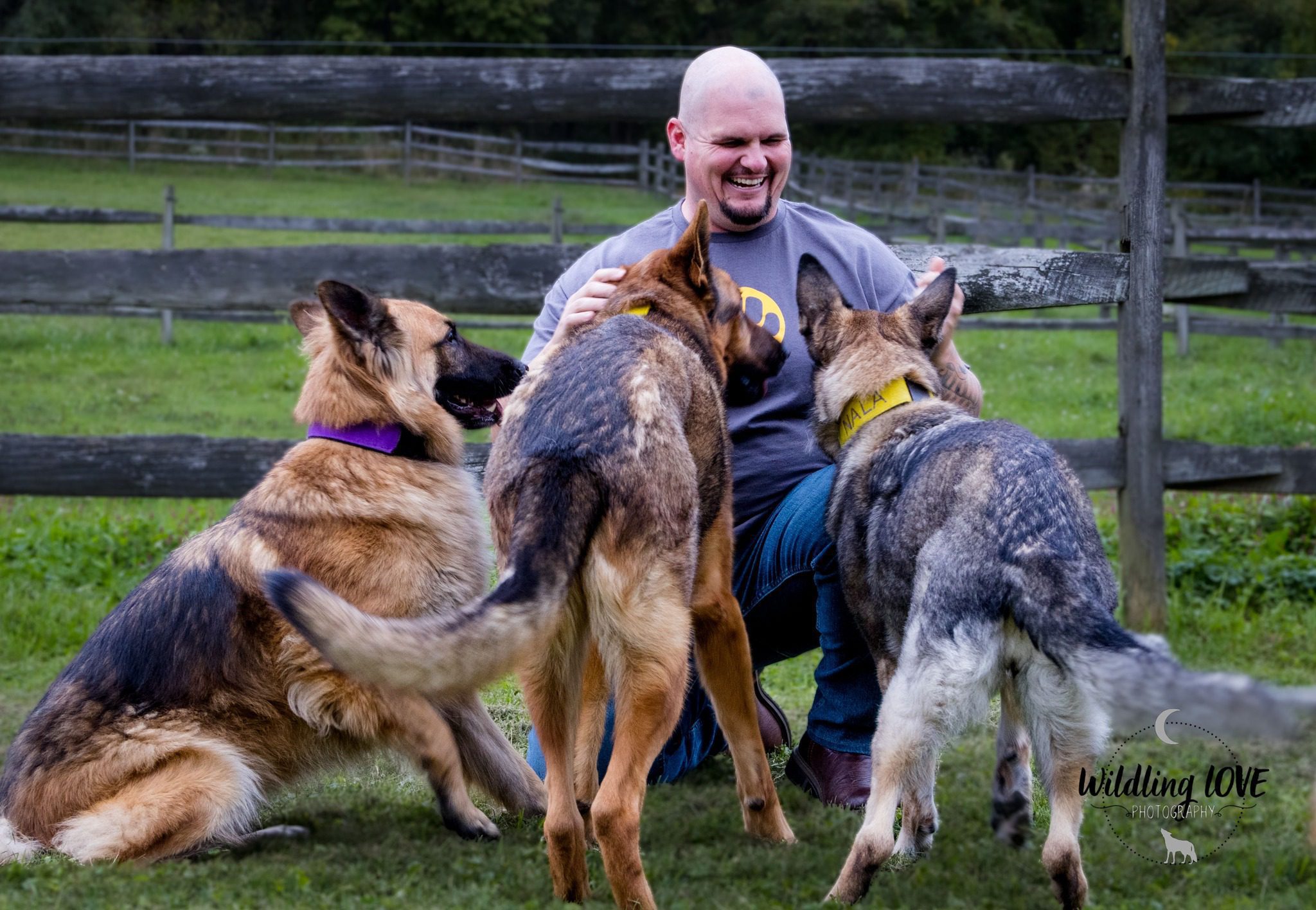 Dog Training Corpus Christi TX Paw & Order