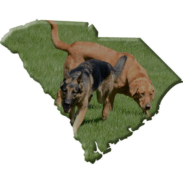 Dog Trainers in South Carolina