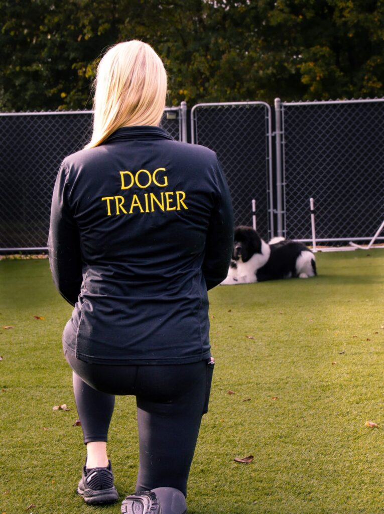 dog training methods