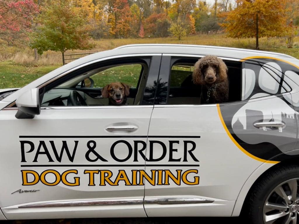 Dog Training Vehicle