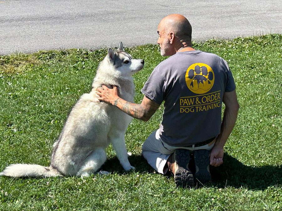 Professional Dog Training in the Twin Cities Paw & Order