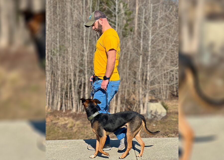 Dog Training Greenville SC Paw & Order