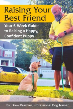 Raising Your Best Friend